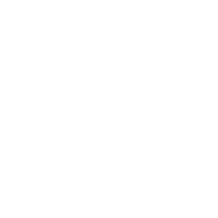 Телеканал Прямий