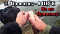 Винищувачі над головою, а щуки дуріють. 8 щук з 10 проводок! Рибалка ТОП!