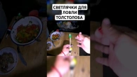 Светлячки для ловли толстолоба