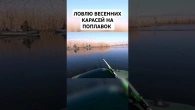 Ловлю весенних карасей на поплавок