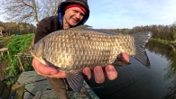 КАРАСІВ РОЗПЕРАЕ ВІД ІКРИ щей короп сів на коромисло