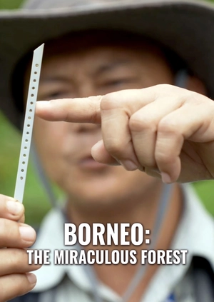 Borneo: The Miraculous Forest