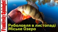 Риболовля в листопаді на Міському Озері м. Івано-Франківська | Бабине літо, як клює хижа риба
