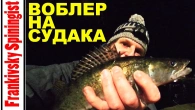 Воблер Strike Pro Montero в тандемі з Golden Catch Vertais роблять дива | Deep winter