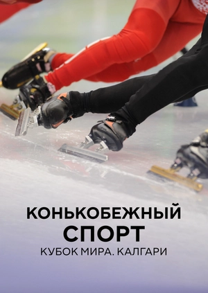 Конькобежный спорт. Кубок мира. Калгари