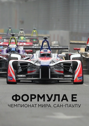 Формула E. Чемпионат мира. Сан-Паулу