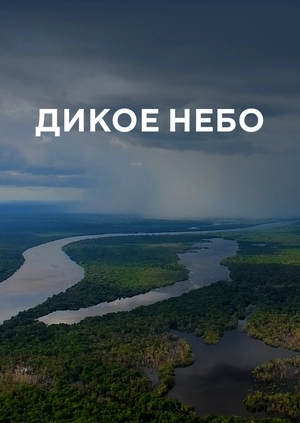 Дикое небо