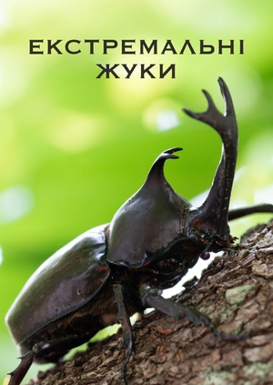 Екстремальні жуки