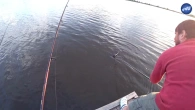 СИЛЬНАЯ РЫБА - ЭТО АДРЕНАЛИН И ЗАРЯД НА ВСЮ НЕДЕЛЮ! | ОЗЕРО "ГЛОРИЯ" | FishingVideoUkraine