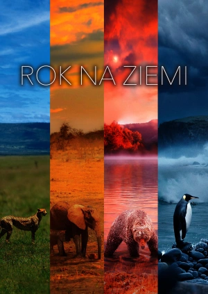 Rok na Ziemi