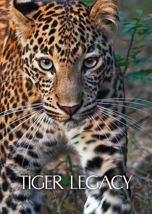 Tiger Legacy