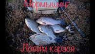 Мормышинг. Ловим карася.