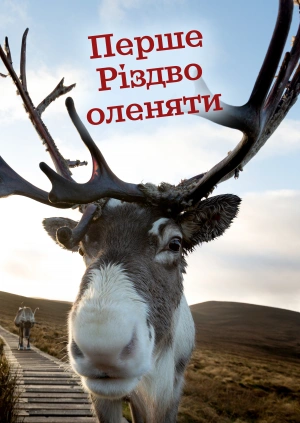 Перше Різдво оленяти