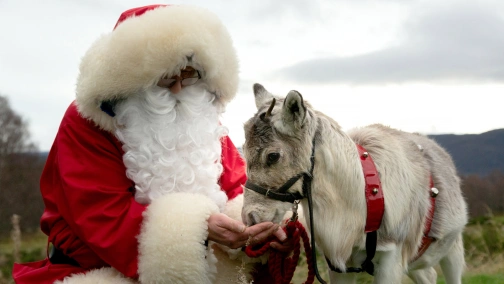 Pierwsze Święta małego renifera