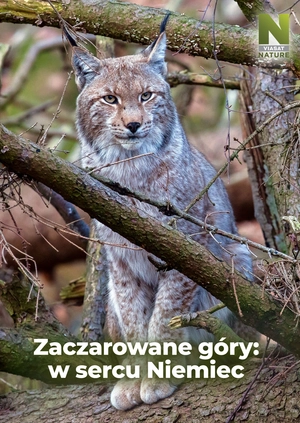Zaczarowane góry: w sercu Niemiec