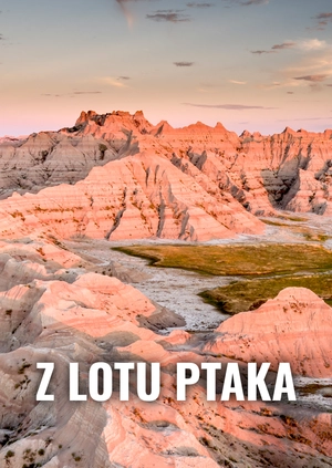 Z lotu ptaka