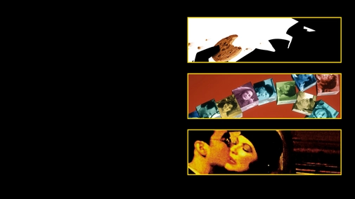 Woody Allen collection: Small time crooks + Deconstructing Harry + Bullets over Broadway