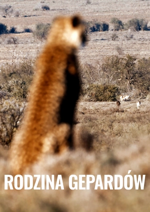 Rodzina gepardów