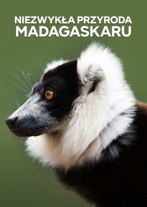 Niezwykła przyroda Madagaskaru — plakat