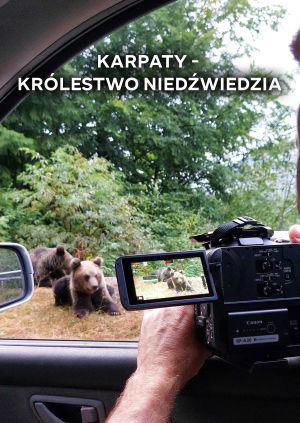Karpaty - królestwo niedźwiedzia — plakat