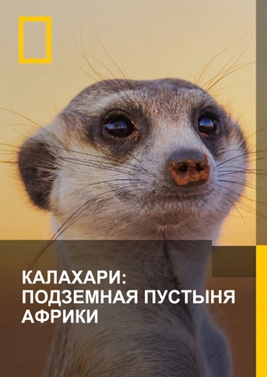 Калахари: Подземная пустыня Африки