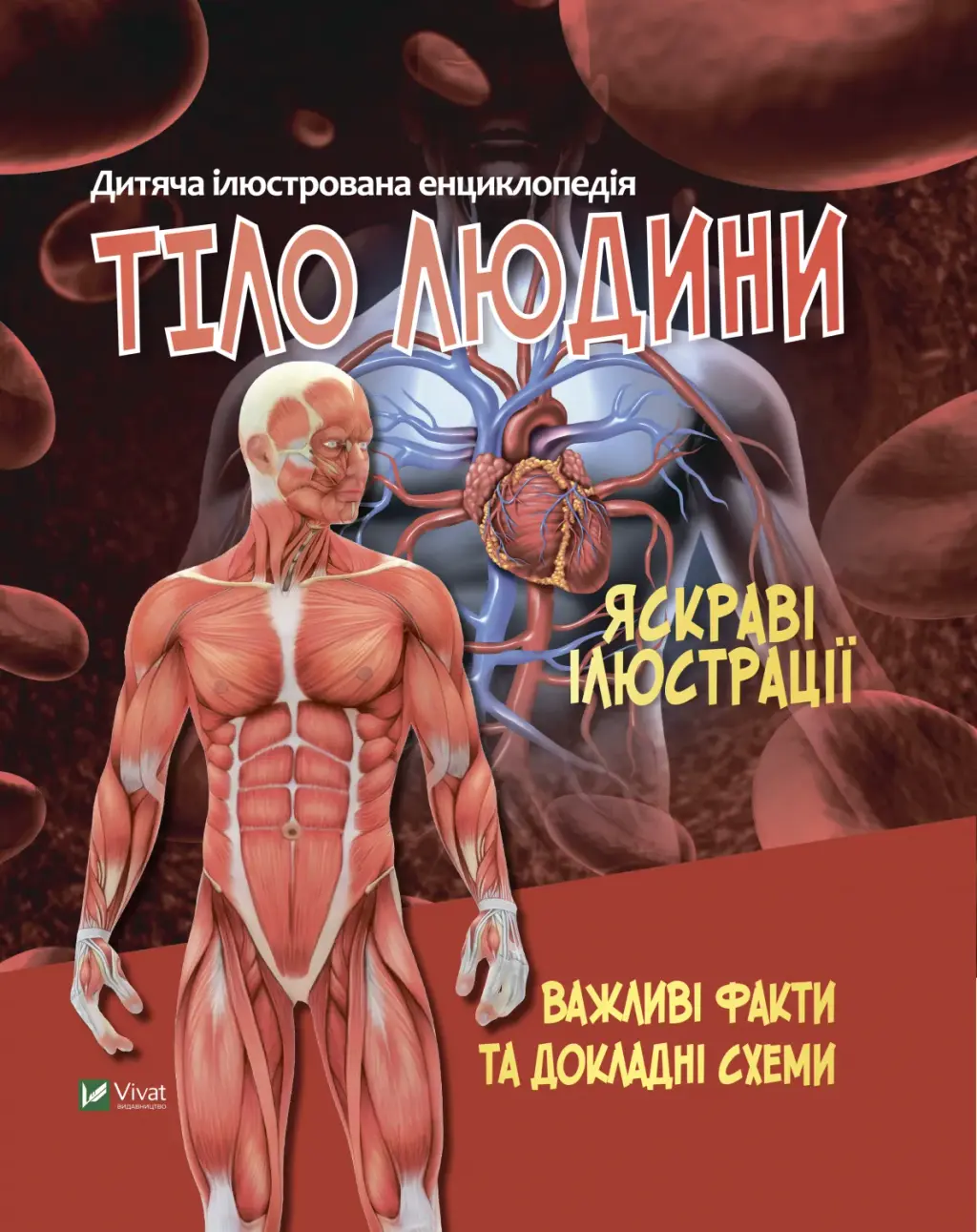 Обкладинка "Тіло людини"