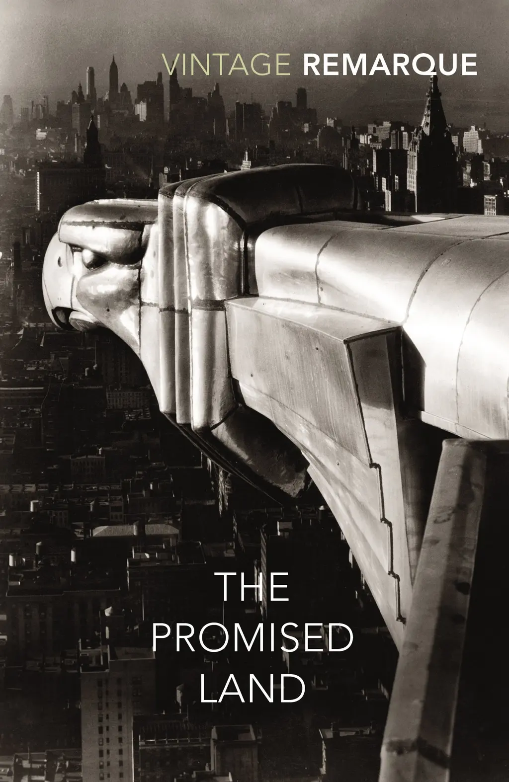 Обкладинка "The Promised Land"