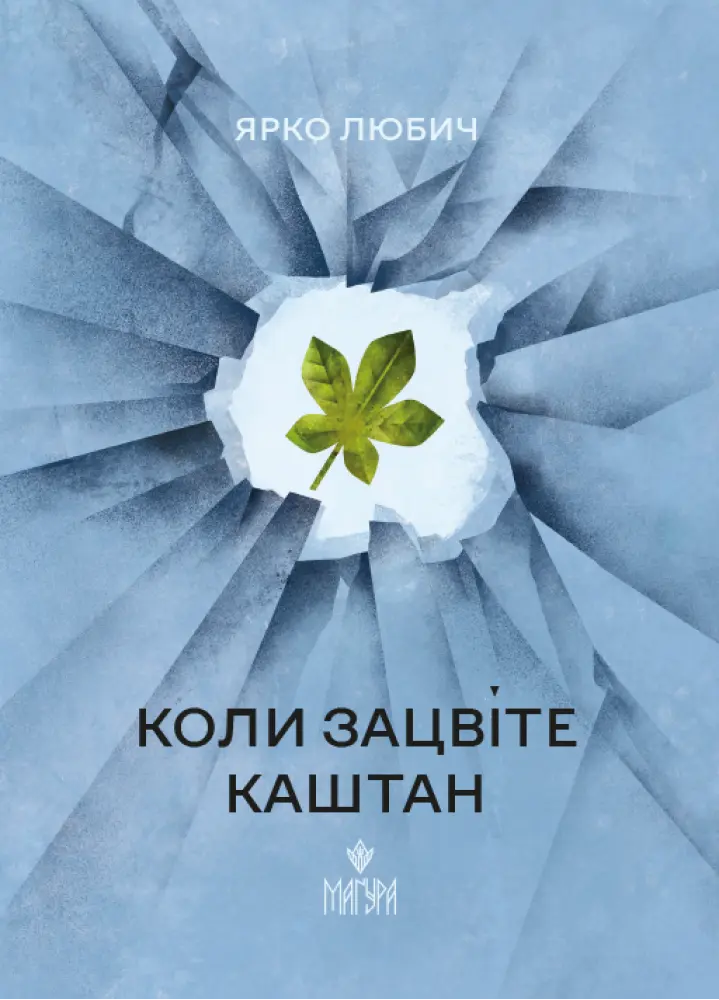 Обкладинка "Коли зацвіте каштан"