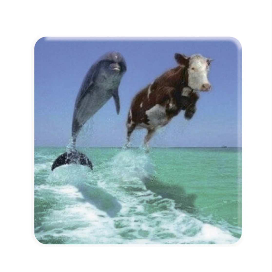 3D стікер «Два Дельфіна»