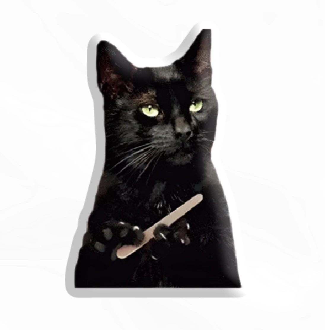 3D стікер «Чорний кіт мем»