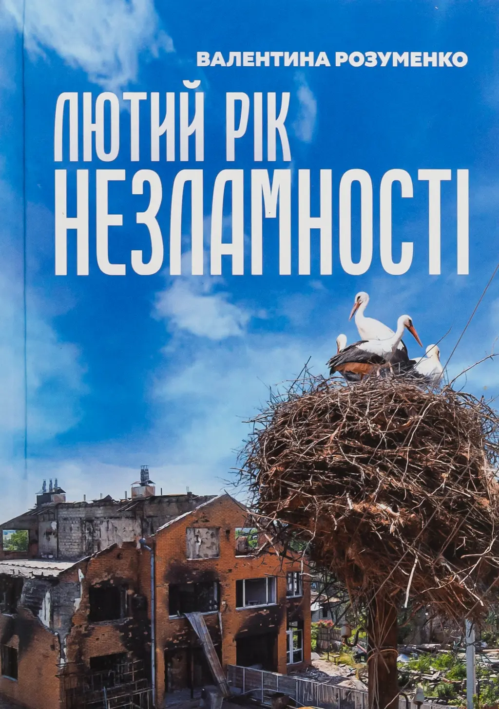 Обкладника "Лютий рік незламності" Обкладинка "Лютий рік незламності"