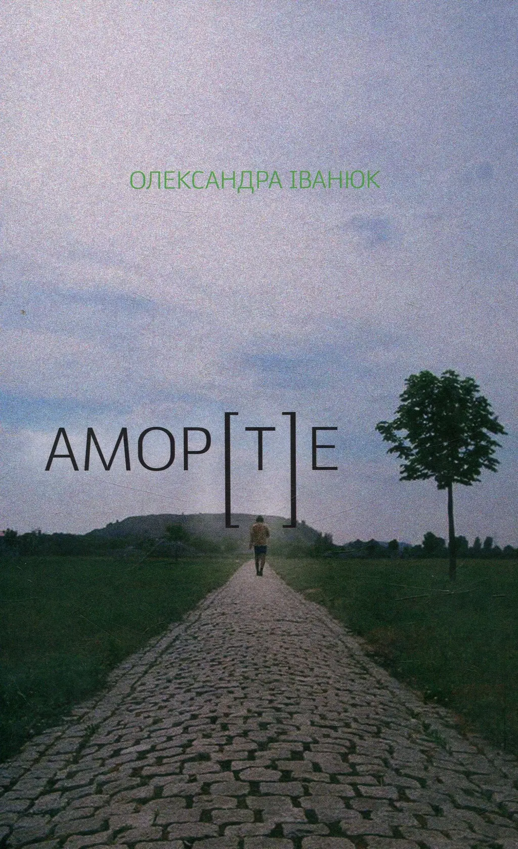 Обкладинка "АМОР[Т]Е"