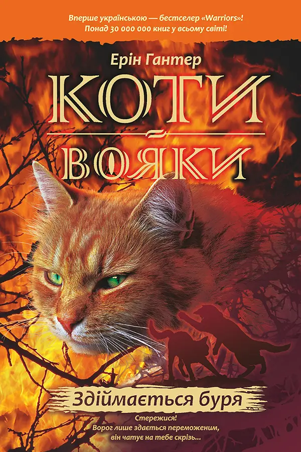 Коти-вояки. Здіймається буря