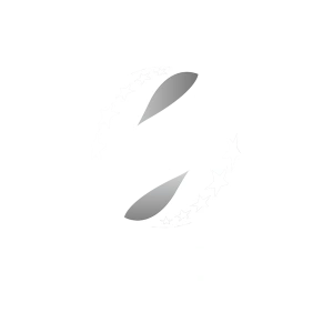 Шахтар — Полісся