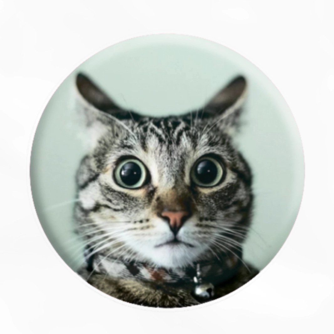3D-стікер «Мем здивований кіт»