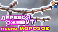 Серія 372