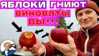 Серія 364