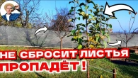 Серія 363