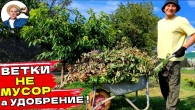 Как сделать супер удобрение из веток после обрезки!