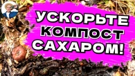 КОМПОСТ ИЗ БОЛЬНОЙ БОТВЫ?! КАК СДЕЛАТЬ?