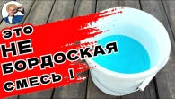ВЫЖИГАЮЩАЯ осенняя ОБРАБОТКА для ОЧЕНЬ БОЛЬНЫХ растений в саду