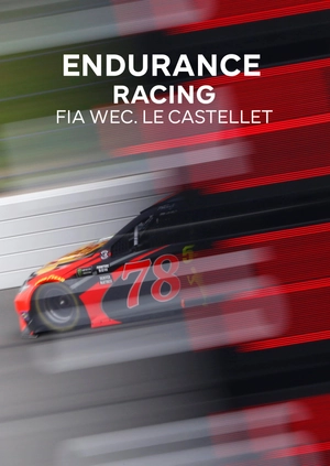Endurance Racing. FIA WEC. Le Castellet