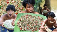 Survival in the rainforest, Plea Kompoeus fresh shrimp salad, cooking delicious eating,