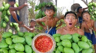 Primitive Boy's Delicious Mango Eating Experience with Spicy Salt in the Rainforest