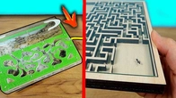 Merging My Formicarium with a Labyrinth: Unexpected Outcome