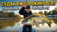 Судак ПРОКИНУВСЯ? Перевіряємо Лебедівку — що по кльову?