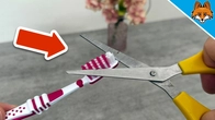 Cut off your Toothbrush Bristles and WATCH WHAT HAPPENS(Amazing)