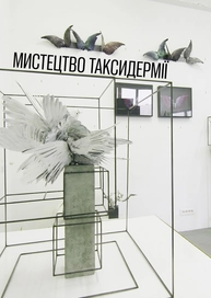 Мистецтво таксидермії