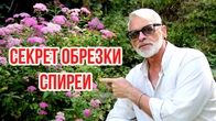 Серія 610