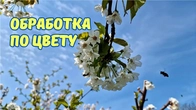 Против Монилиоза, Клястероспориоза и насекомых-вредителей.